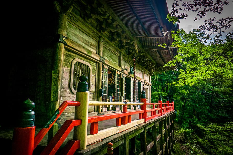 tree, maple tree, forest, buddhism, japanese, architecture HD wallpaper