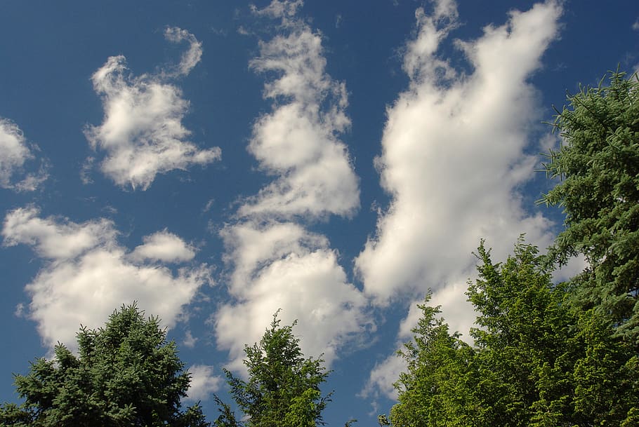 weather, clouds, blue sky, nature, desktop background, tree HD wallpaper