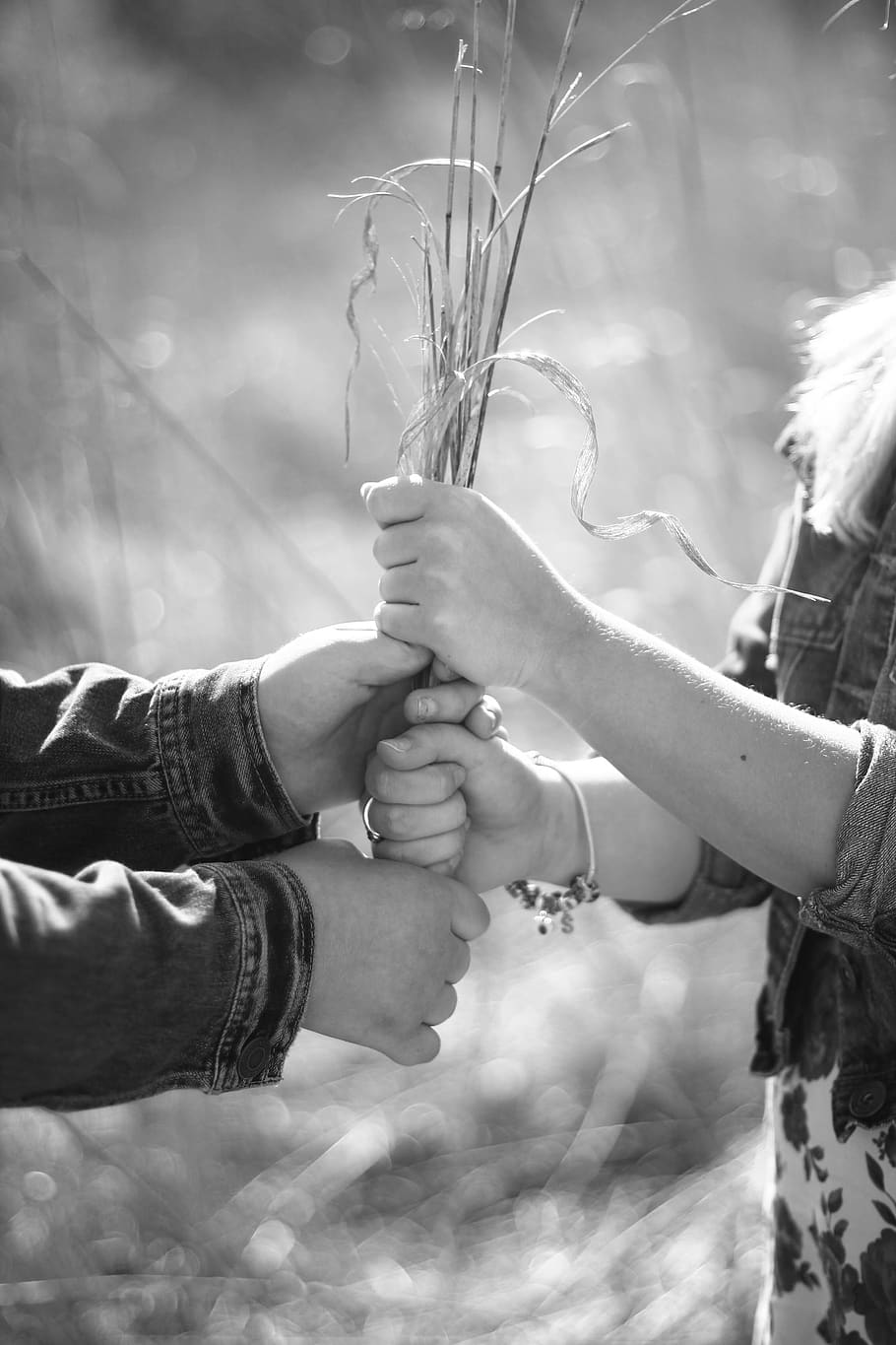 person, human, finger, hands, black and white, love, clothing HD wallpaper