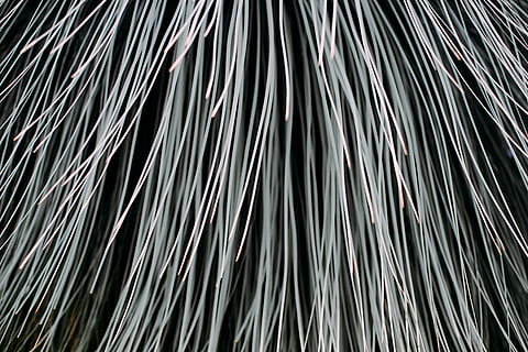 close-up photography white strands, wallpaper, leaf, minimalist HD wallpaper