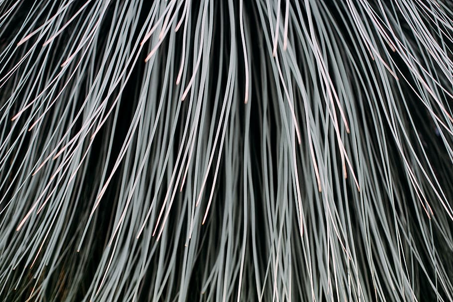 close-up photography white strands, wallpaper, leaf, minimalist HD wallpaper