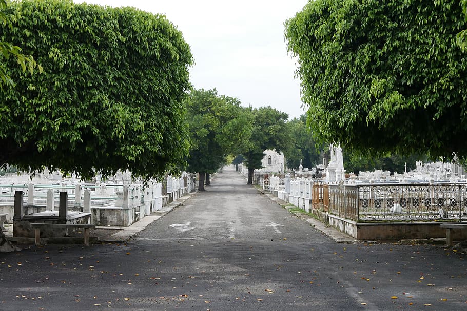 mexico, el espinal, cementerio, graveyard, havanna, cementerio cristóbal colón