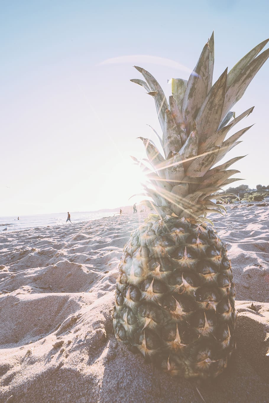 Pineapple in Gray Sand during Daytime, beach, fruit, sea, seashore HD wallpaper