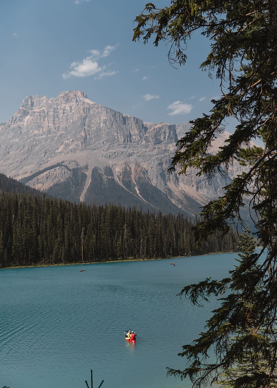 gray mountain, scenics - nature, water, beauty in nature, tree HD wallpaper