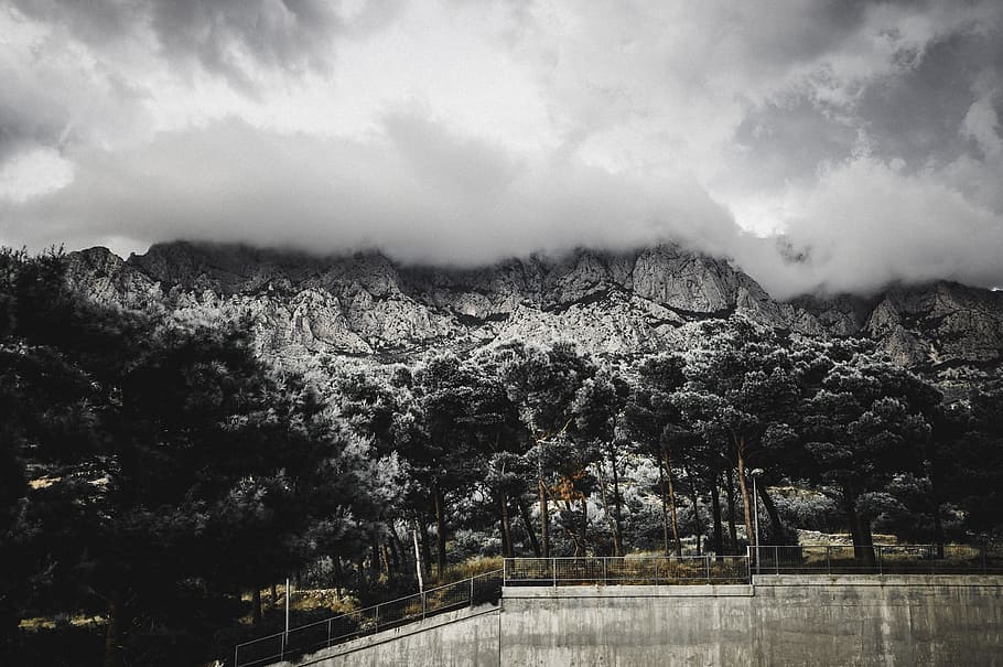 Aerial Photography of Trees and Mountains, black and white, clouds HD wallpaper