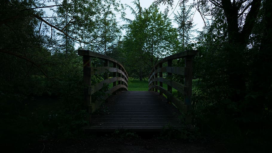 trees, forest, bridge, wood, green, lake, dark, grass, plant HD wallpaper