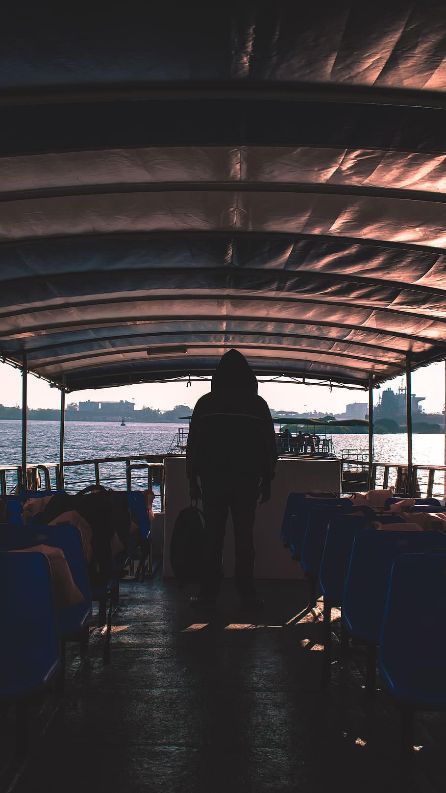 person standing inside watercraft, human, restaurant, cow, animal HD wallpaper