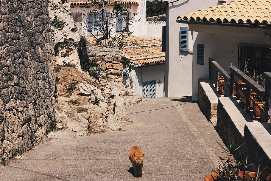 spain, majorca, mediterranean, house, traditional, mallorca HD wallpaper