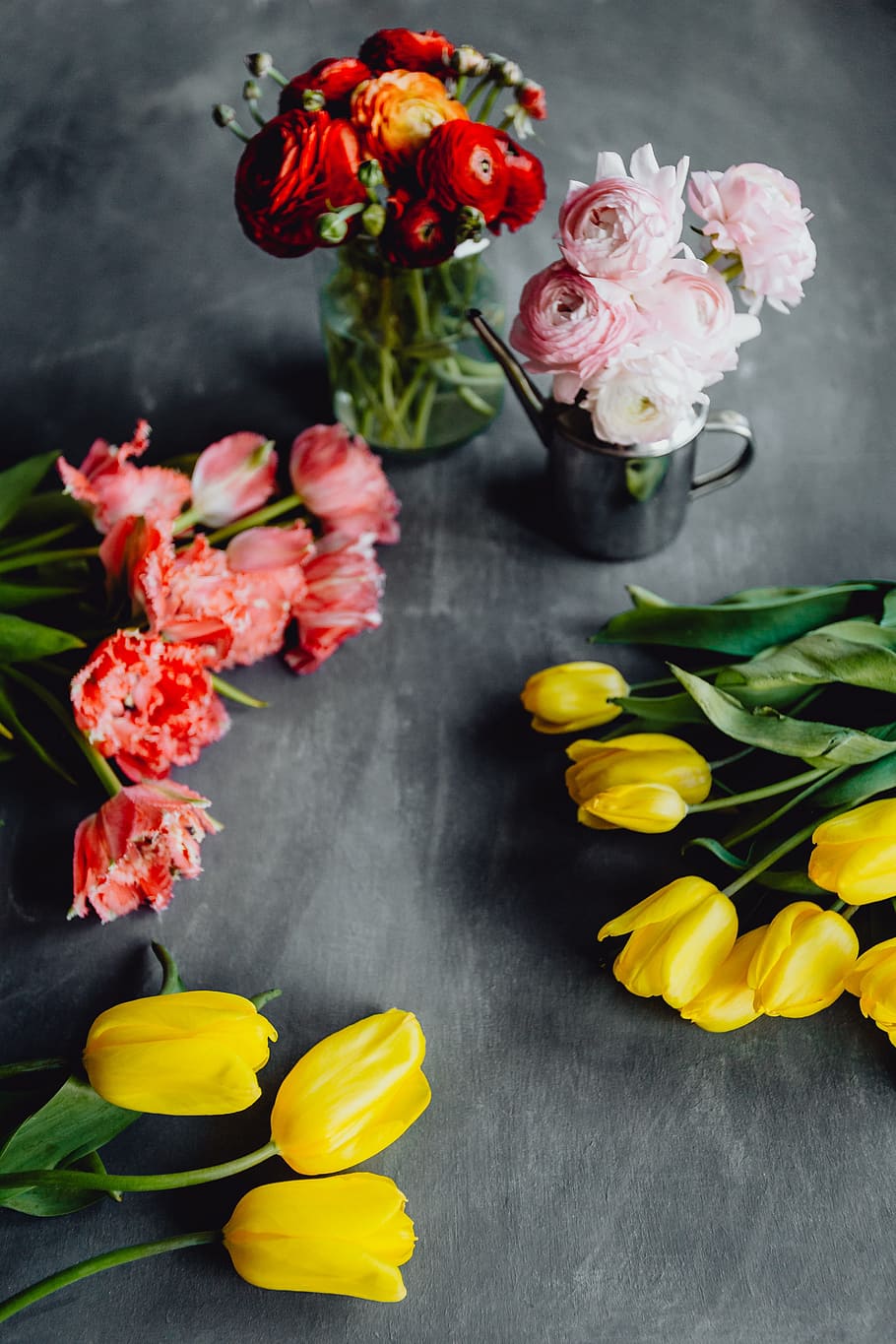 Colorful flowers on grey background with copy space, bloom, floral HD wallpaper