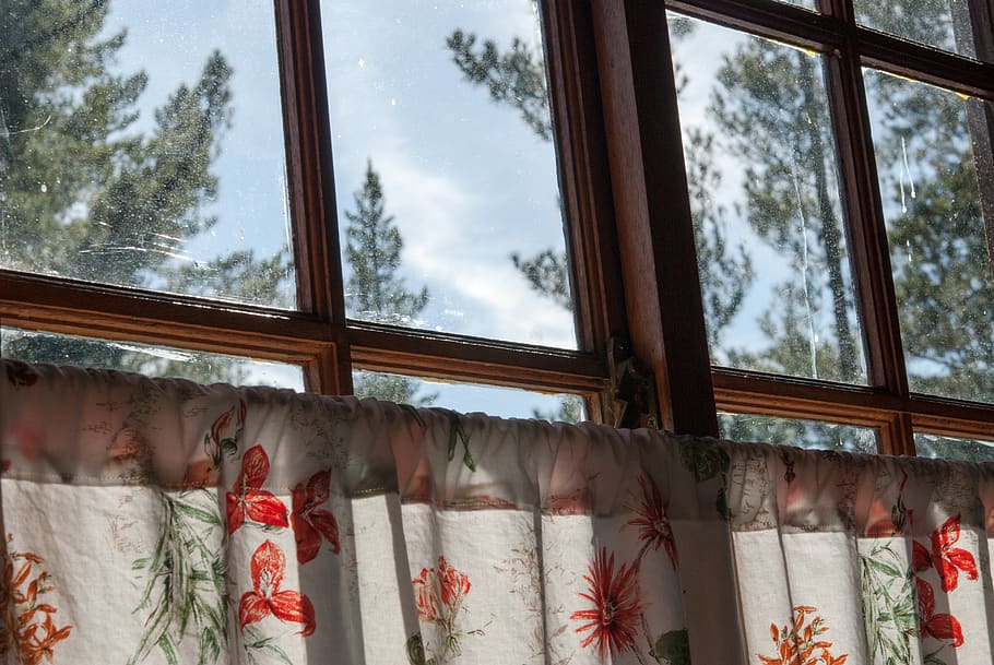 window, curtain, cabin, woods, tree, sun, sunlight, glass - material HD wallpaper