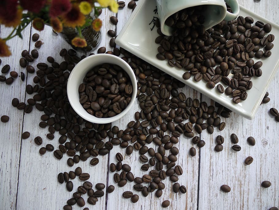 cafe, coffee, coffeebean, arabica, mocha, robusta, caffeine HD wallpaper