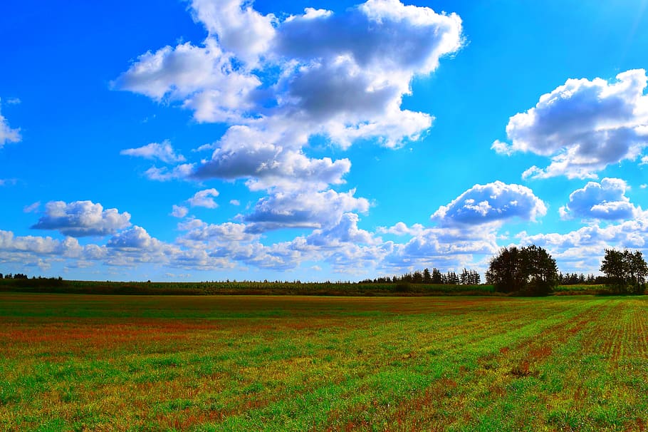 landscape, nature, sky, clouds, reported, summer, cloud - sky HD wallpaper