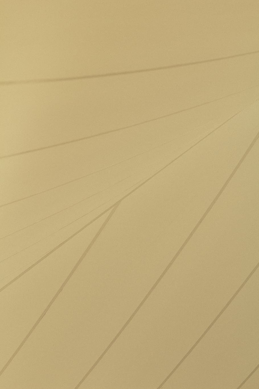 lines, light, canopy, minimal, full frame, backgrounds, no people HD wallpaper