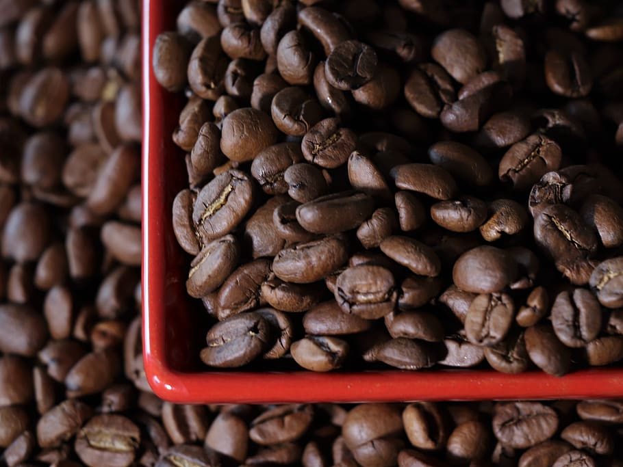 coffee, grain, aroma, café, fried, caffeine, drink, espresso, HD wallpaper