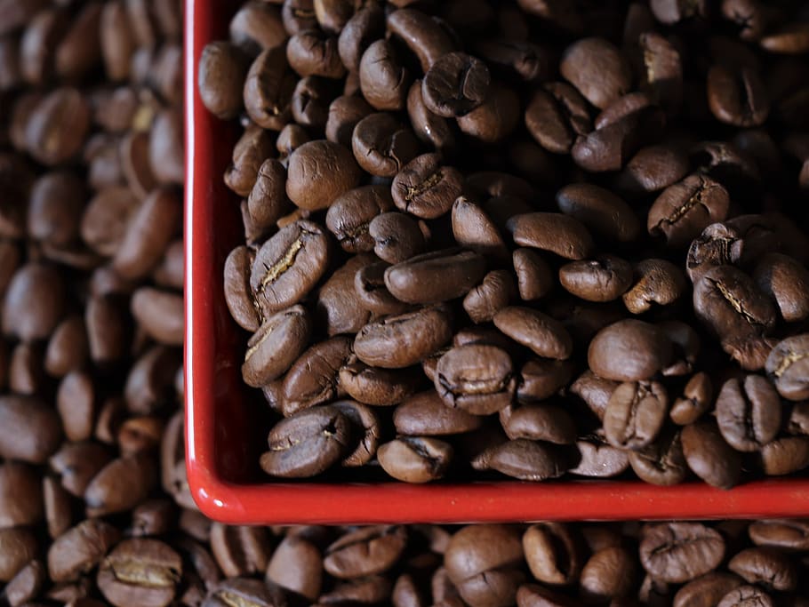 coffee, grain, aroma, café, fried, caffeine, drink, espresso HD wallpaper