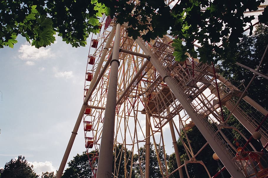 belarus, minsk, low angle view, tree, amusement park, plant HD wallpaper