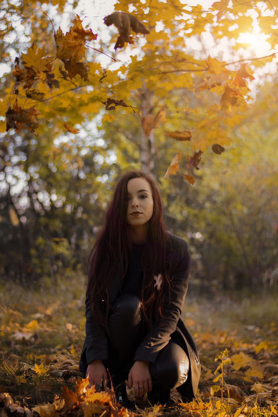 lithuania, kaunas, autumn, one person, change, tree, leisure activity HD wallpaper