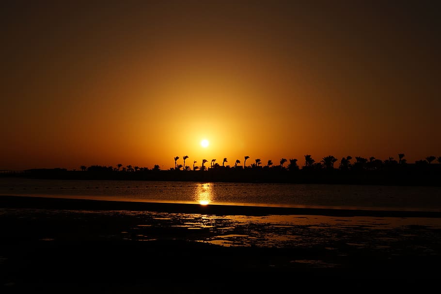 egypt, sunset, water, light, vacations, palm trees, nature HD wallpaper