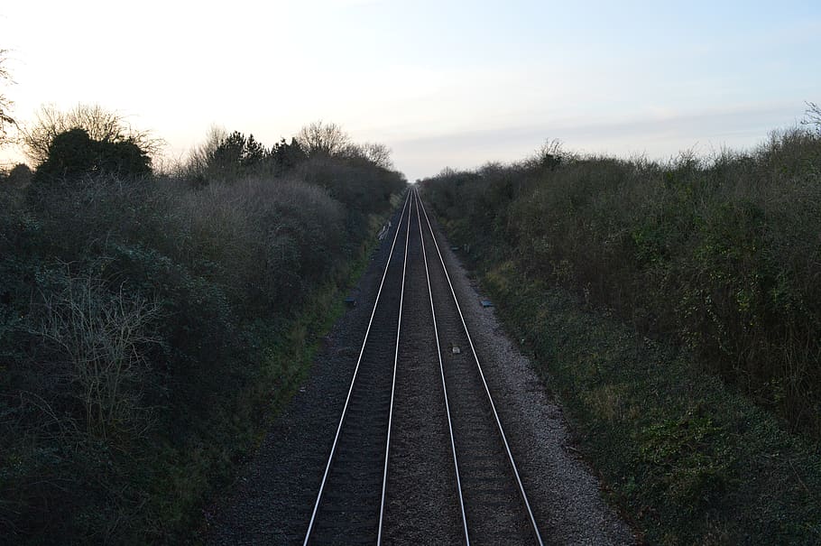 train, tracks, bridge, bushes, trees, countryside, quiet, rail transportation HD wallpaper