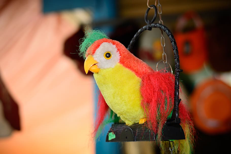 bird, yellow, red, toy, green, animal themes, vertebrate, focus on foreground HD wallpaper