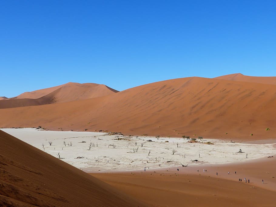 namib, nature, namibia, landscape, heiss, desert, dry, sand dunes, HD wallpaper