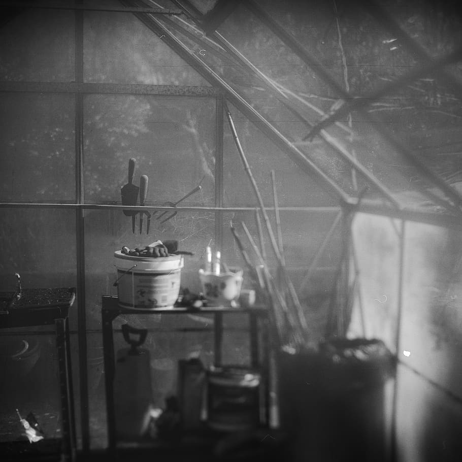 Greenhouse , indoors, glass - material, no people, transparent HD wallpaper
