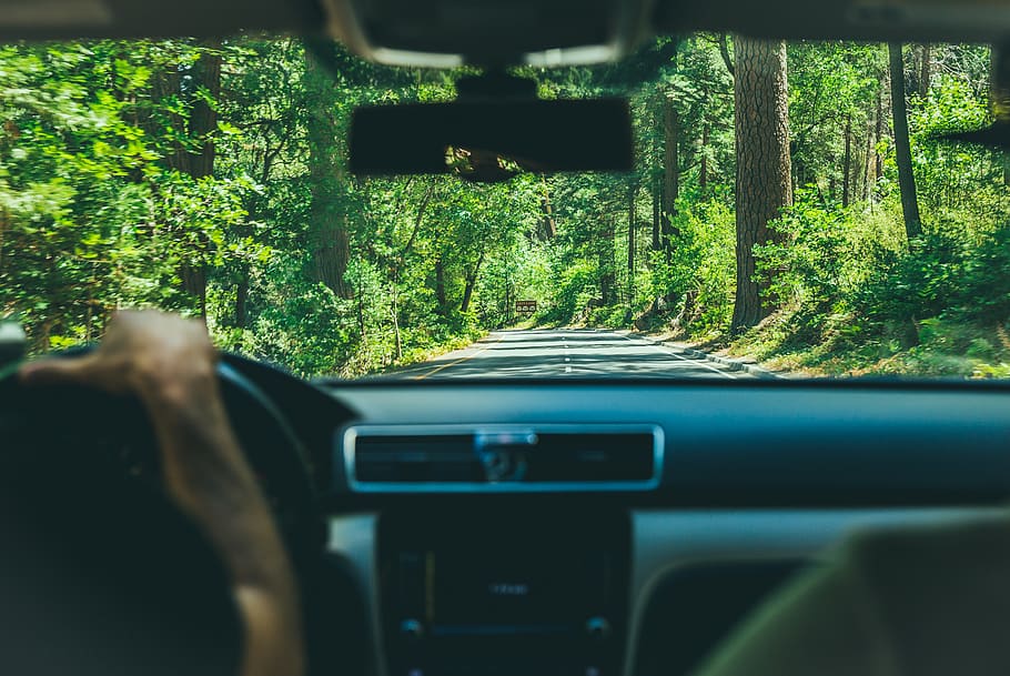 people, man, guy, driver, driving, travel, road, trip, car HD wallpaper