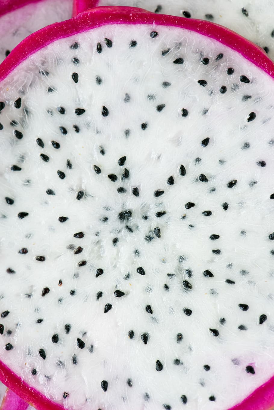 background, cactus, closeup, delicious, dessert, detox, diet HD wallpaper