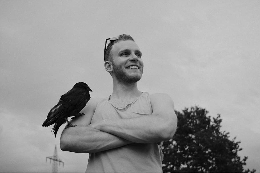 boy, bird, crow, black, white, top, outdoor, pirate, nature HD wallpaper