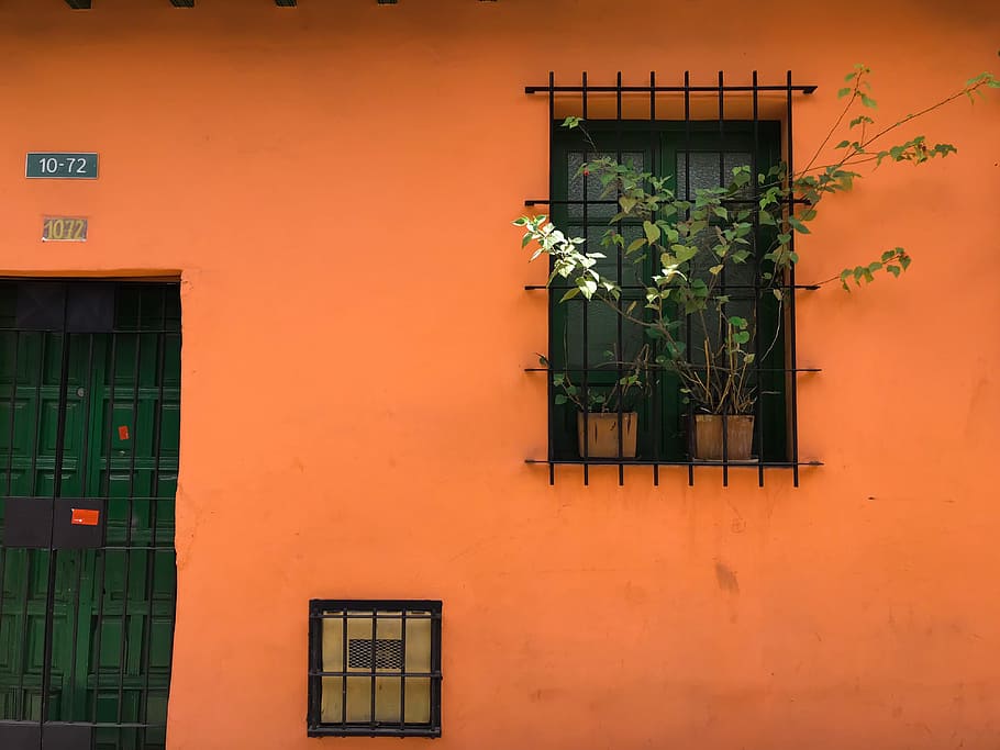 Black Steel Window Bars With Green Plants, architecture, colors, HD wallpaper