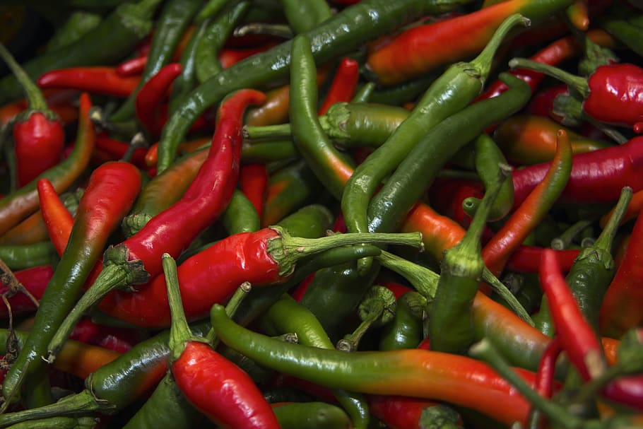 pepper, chilli, spicy, red, food, color, food and drink, chili pepper HD wallpaper