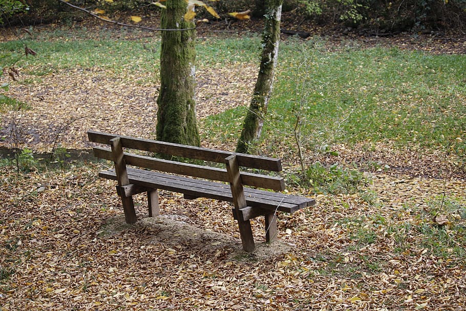 nature, bench, forest, leaves, autumn, landscape, solitude HD wallpaper