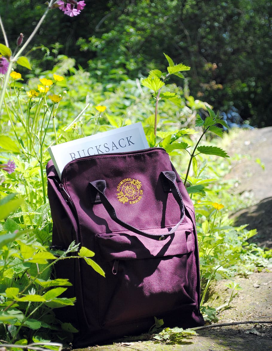purple leather backpack beside petaled flower, bag, human, person