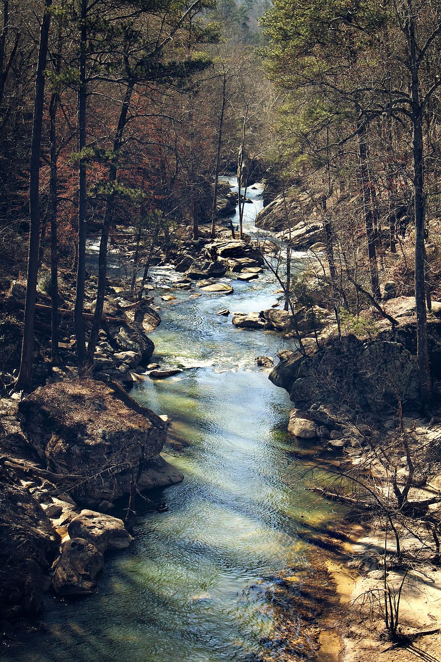 stream, water, nature, trees, forest, plant, land, tranquility HD wallpaper