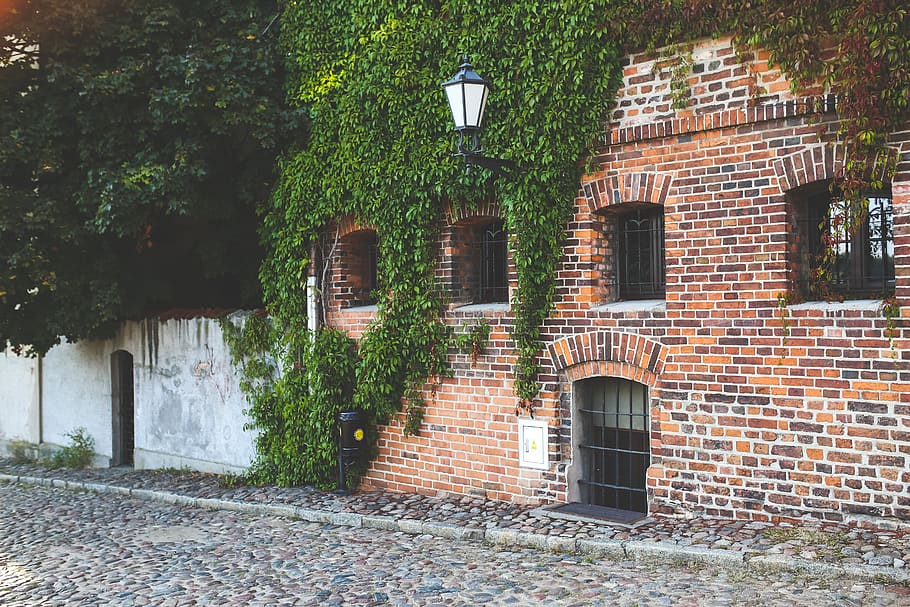 Old city, architecture, brick, bricks, building, door, exterior HD wallpaper