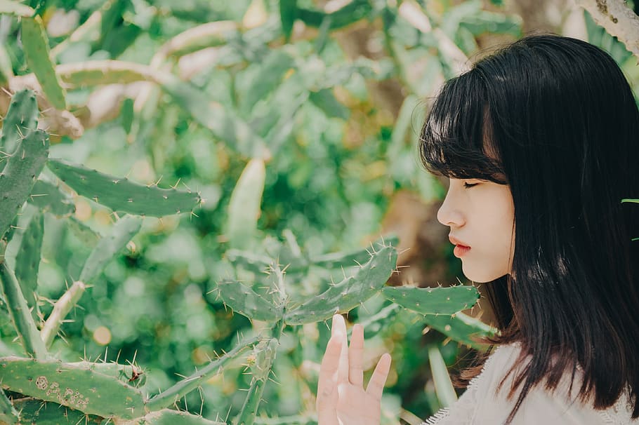 Woman Standing Near and Touching Cactus, beautiful, cactuses HD wallpaper