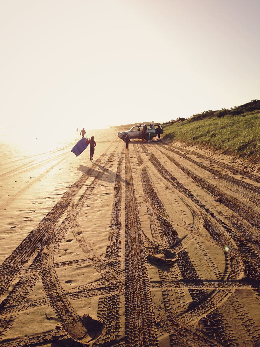 beach, shore, sand, sandy, activity, family, joy, nature, bright HD wallpaper