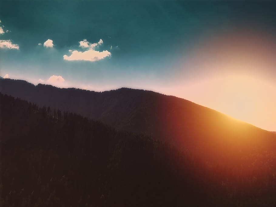 romania, trees, sunset, sky, forest, orange, beauty in nature HD wallpaper