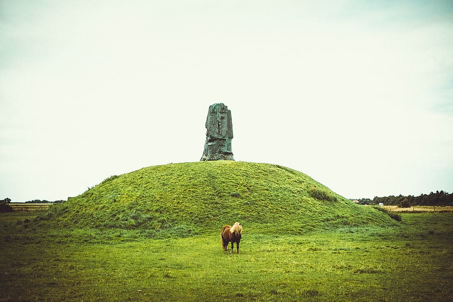 denmark, tønder, cool, statue, pony, animal, grass, feild HD wallpaper