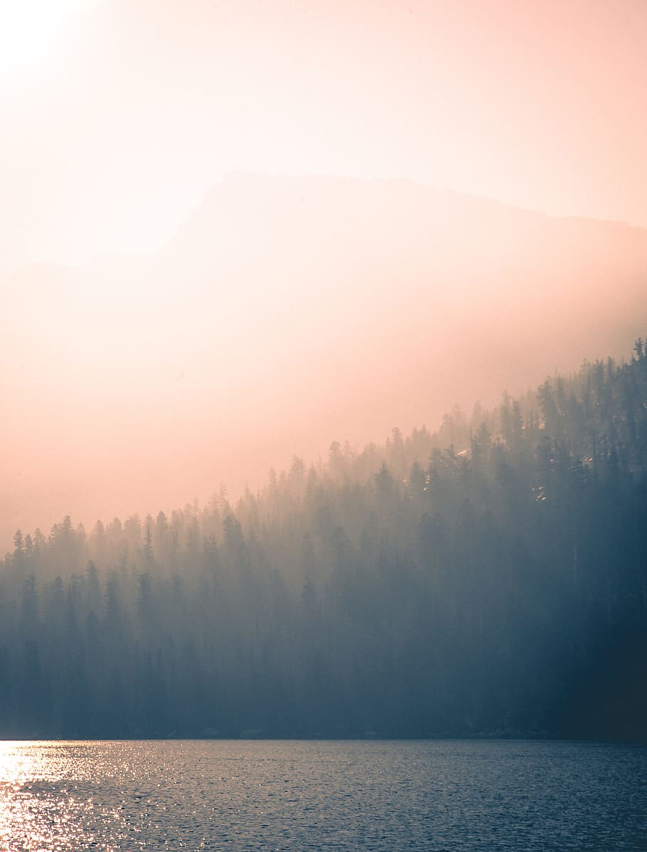 silhouette of trees and sea, mountain, forest, mist, haze, lake HD wallpaper