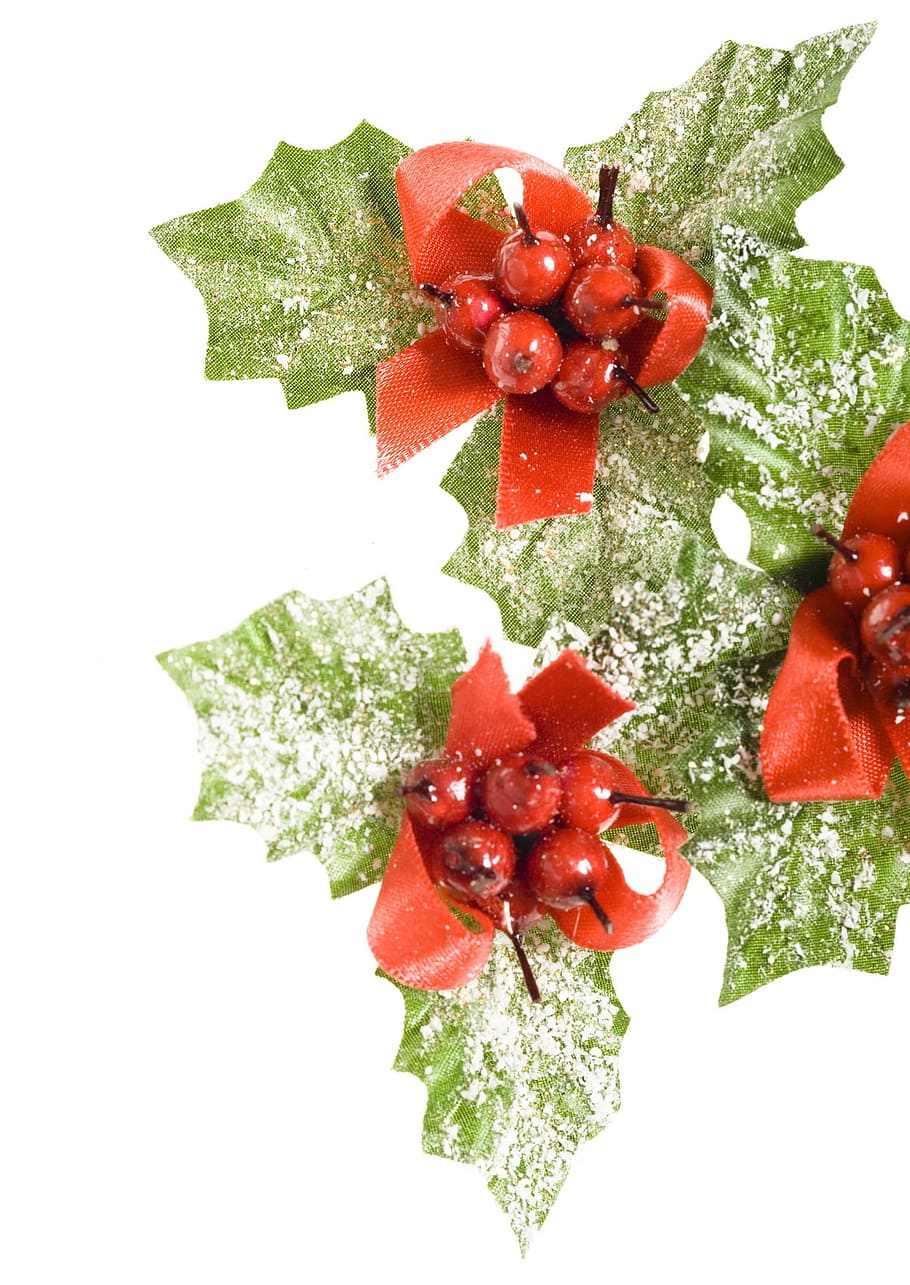 berry, celebration, christmas, decor, decoration, design, european