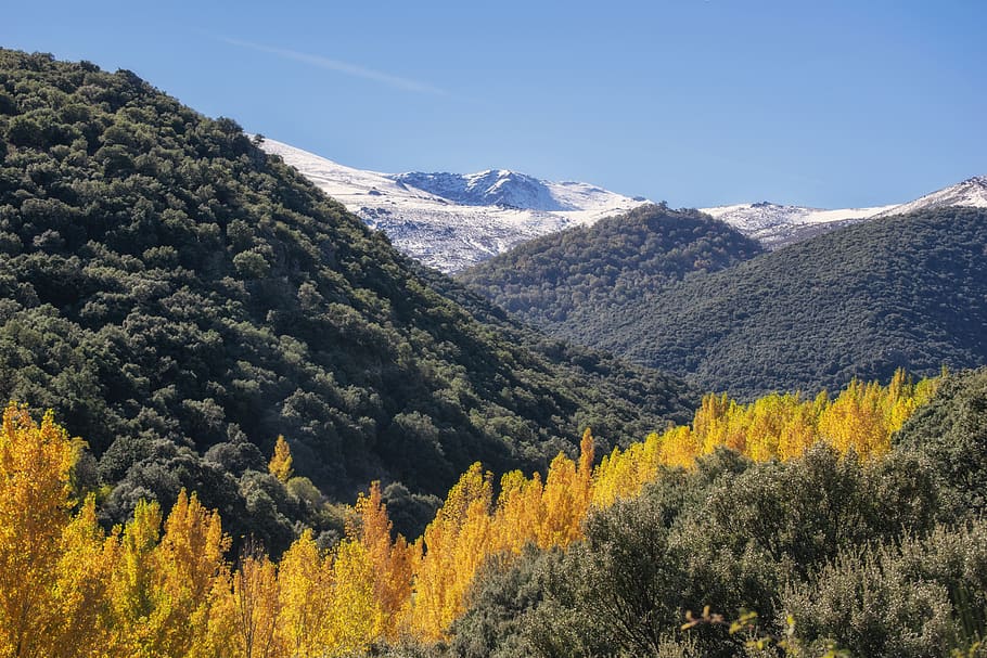 autumn, trees, forest, landscape, colorful, lugros, granada HD wallpaper