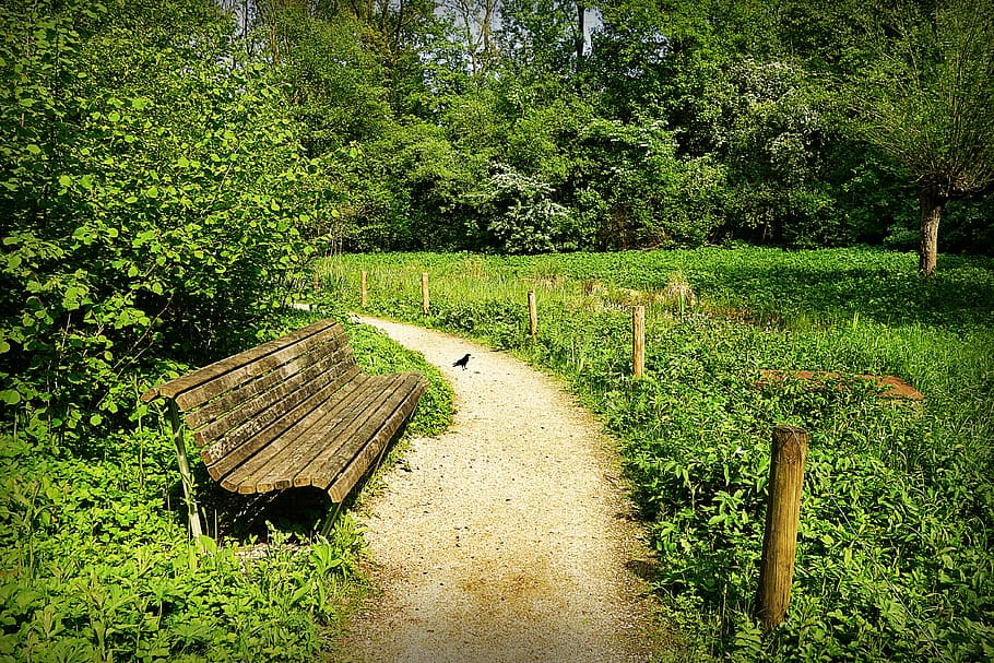park, bench, seat, path, landscape, peaceful, serene, plant HD wallpaper