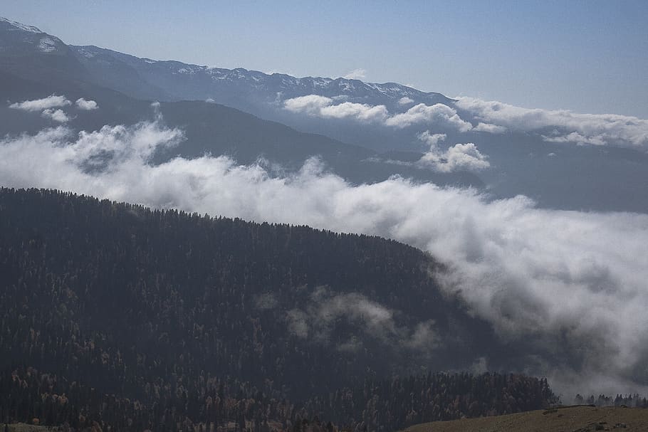 roza khutor, forest, cloud, mountain, landscape, snow, cloudscape HD wallpaper