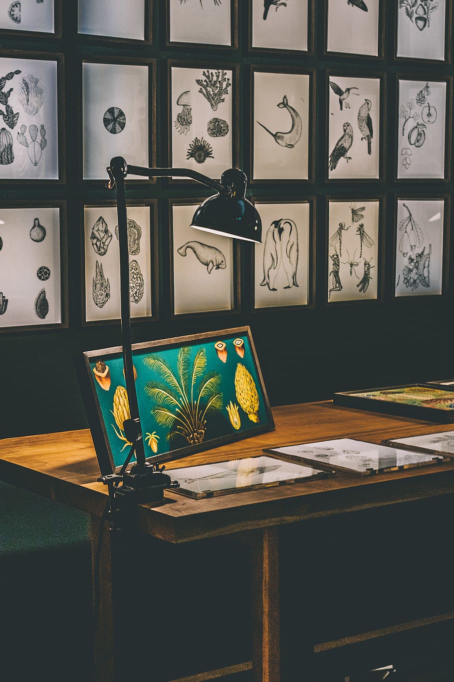 furniture, table, desk, tabletop, wood, indoors, interior design, HD wallpaper