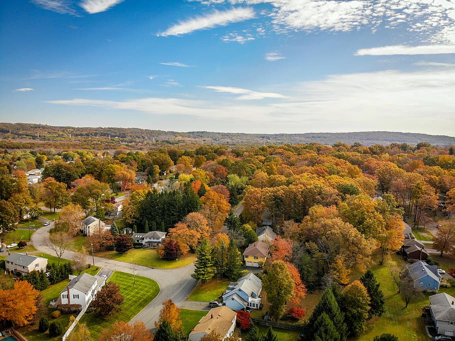 Aerial Photography of Houses Surrounded by Trees, bird's eye view HD wallpaper