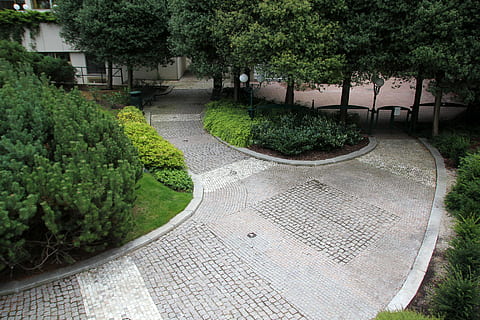 park, street, background, garden, green, bench, path, summer HD wallpaper