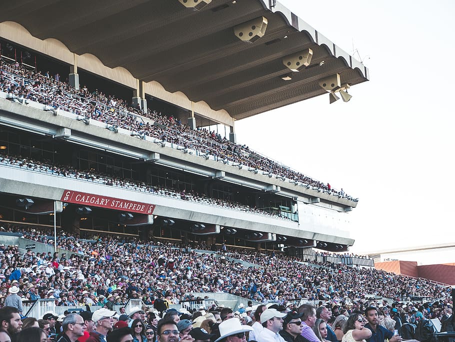people inside stadium, crowd, person, human, calgary, stampede park HD wallpaper