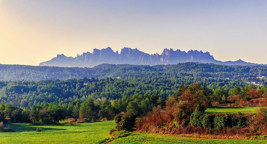 trees burned, prairie, montserrat, environment, rural, panoramic, HD wallpaper