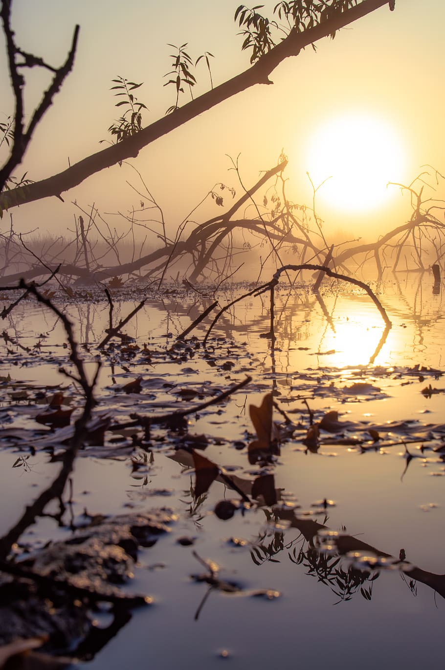 germany, schwerte, water, beauty in nature, tranquility, lake HD wallpaper